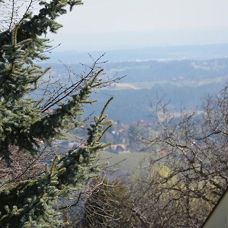 فيلا Weingut Seiner Vlg. Kraxner Greisdorf المظهر الخارجي الصورة