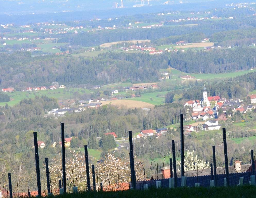 فيلا Weingut Seiner Vlg. Kraxner Greisdorf المظهر الخارجي الصورة